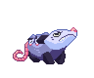Possum for Guateque Games